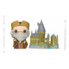FUNKO POP HARRY POTTER ANNIVERSARY - DUMBLEDORE EN HOGWARTS