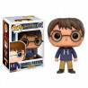 POP HARRY POTTER EXCLUSIVO -POTTER CON H EN JERSEY nº27