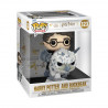 FUNKO POP HARRY POTTER - HARRY POTTER AND BUCKBEAK