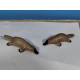 PLAYMOBIL 2X ORNITORRINCOS , ANIMALES - 16/3/23