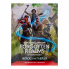 D&D FORGOTTEN REALMS EXPANSION: HEROES DE FAERUN