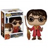 FUNKO POP HARRY POTTER CON ESCOBA QUIDDITCH