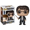 FUNKO POP HARRY POTTER - HARRY POTTER Nº1