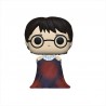 FUNKO POP HARRY POTTER TOY FAIR 2020 - HARRY CON CAPA