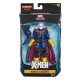 HASBRO X-Men: Age of Apocalypse Marvel Legends Series Figura 2020 Marvel's Morph 15 cm