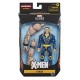 HASBRO X-Men: Age of Apocalypse Marvel Legends Series Figura 2020 X-Man 15 cm