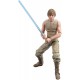 HASBRO Star Wars Black Series 40Th Aniversario Figura Luke Skywalker Dagobah