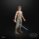 HASBRO Star Wars Black Series 40Th Aniversario Figura Luke Skywalker Dagobah