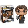 FUNKO POP HARRY POTTER - HARRY CON HEDWIG