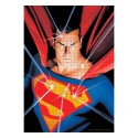 PUZZLE DC Comics Puzzle Superman 1000 PIEZAS