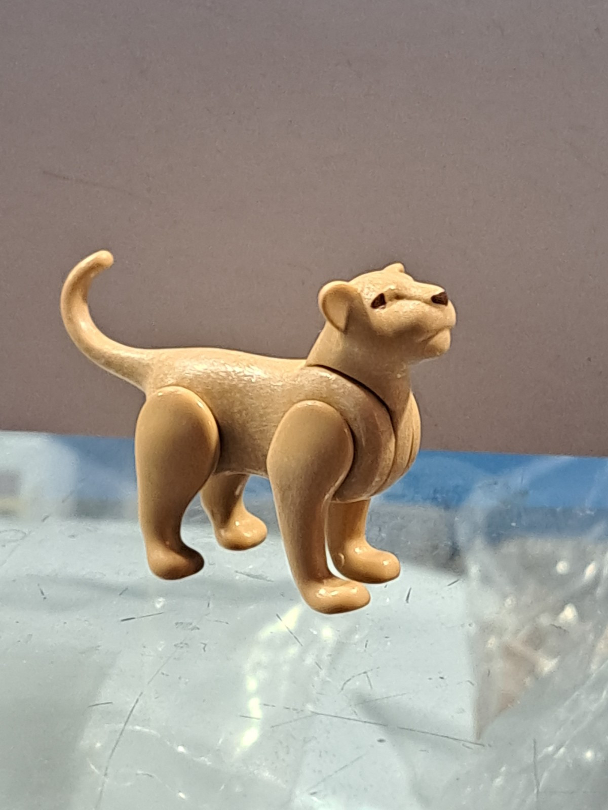 PLAYMOBIL CRIA DE LEONES - 11/3/21